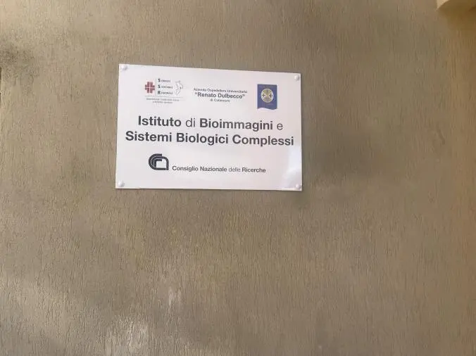 Istituto di Bioimmagini con risonanza 3 Tesla a Villa Bianca: i dettagli forniti dall'Aou Dulbecco images Istituto di Bioimmagini con risonanza 3 Tesla a Villa Bianca: i dettagli forniti dall'Aou Dulbecco