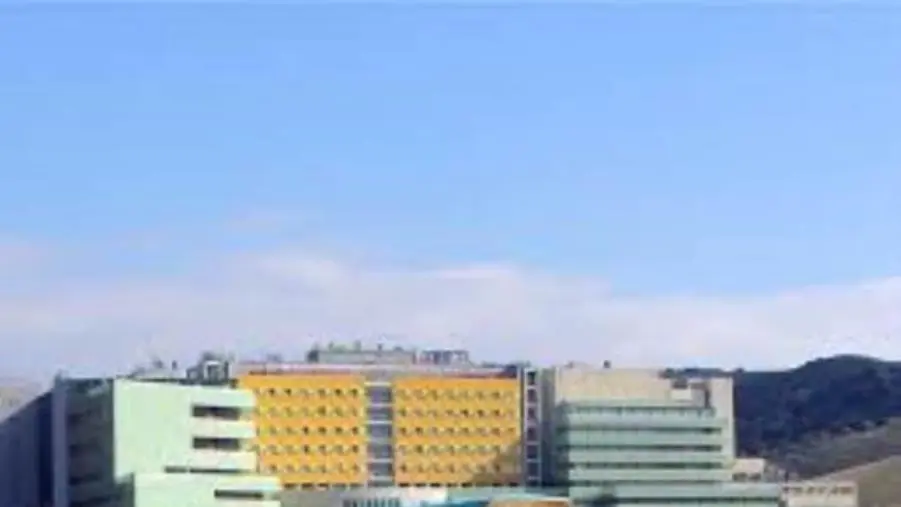 Scandalo all'Umg di Catanzaro, 10 su 27 scelgono il rito abbreviato