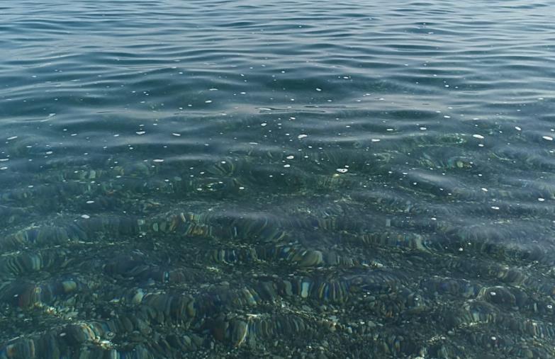 Catanzaro, scie di schiuma in mare con cadenza periodica: bagnanti preoccupati images Catanzaro, scie di schiuma in mare con cadenza periodica: bagnanti preoccupati