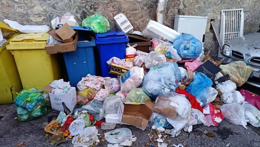 Cumulo di rifiuti in centro a Catanzaro, l'amarezza e l'appello dell'assessore Colosimo images Cumulo di rifiuti in centro a Catanzaro, l'amarezza e l'appello dell'assessore Colosimo