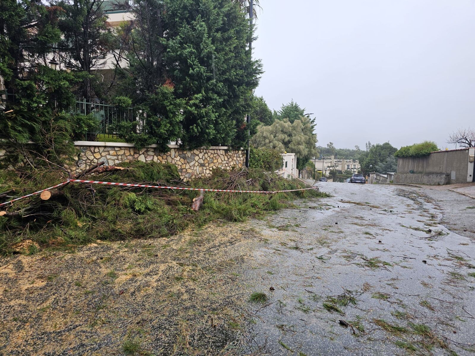 images Catanzaro, rimosso l'albero caduto su via Gariano e ripristinata la circolazione 