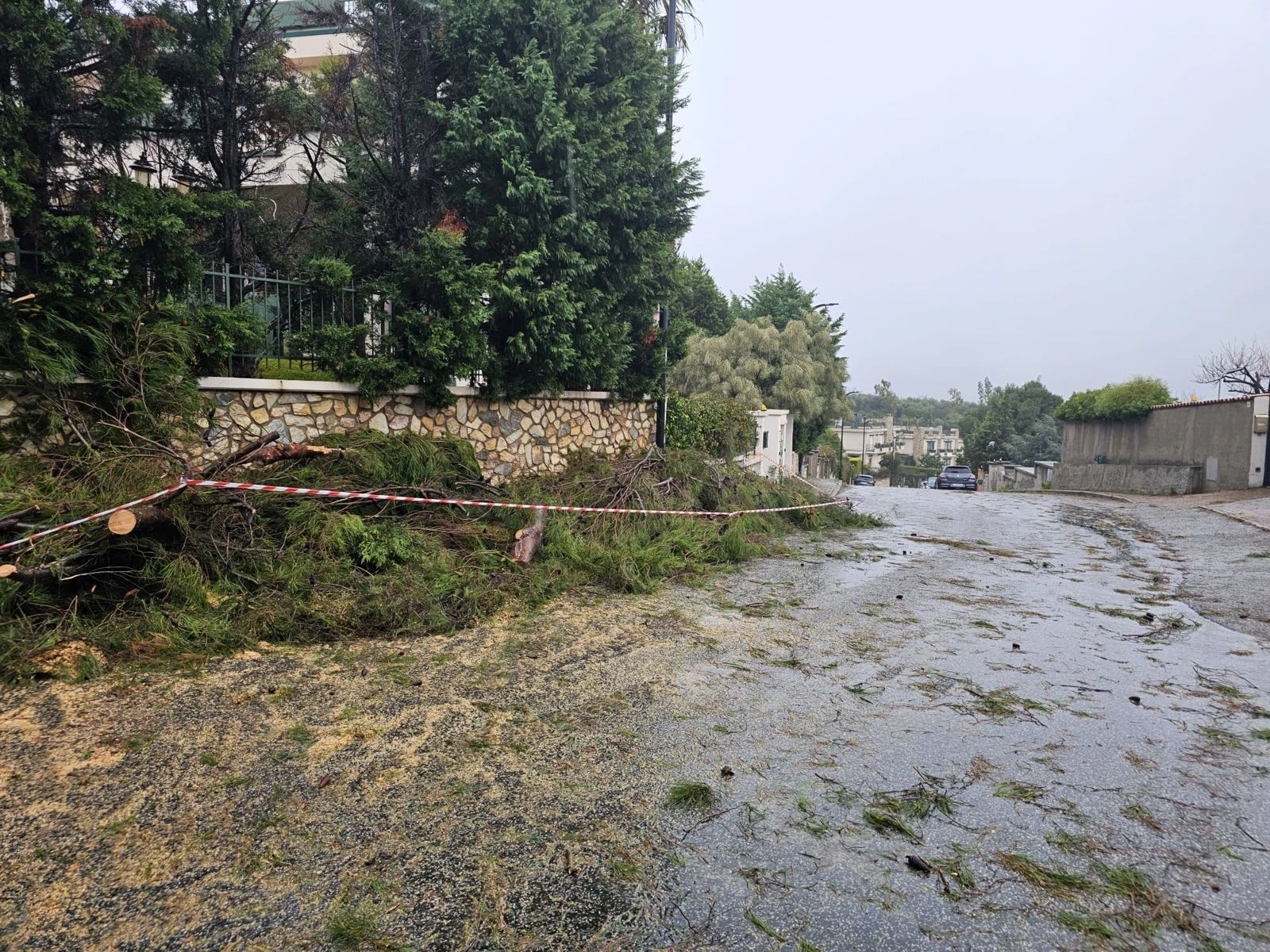 Catanzaro, rimosso l'albero caduto su via Gariano e ripristinata la circolazione 