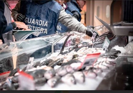 Operazione “FISH_NET”, la Guardia Costiera intensifica i controlli sulla filiera ittica 