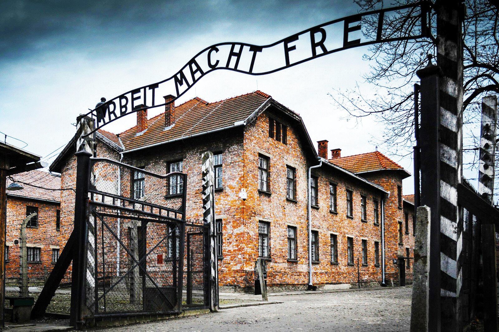 Da Castrovillari ad Auschwitz: il viaggio della memoria degli studenti dell’IIS “Fermi Pitagora Calvosa” images Da Castrovillari ad Auschwitz: il viaggio della memoria degli studenti dell’IIS “Fermi Pitagora Calvosa”