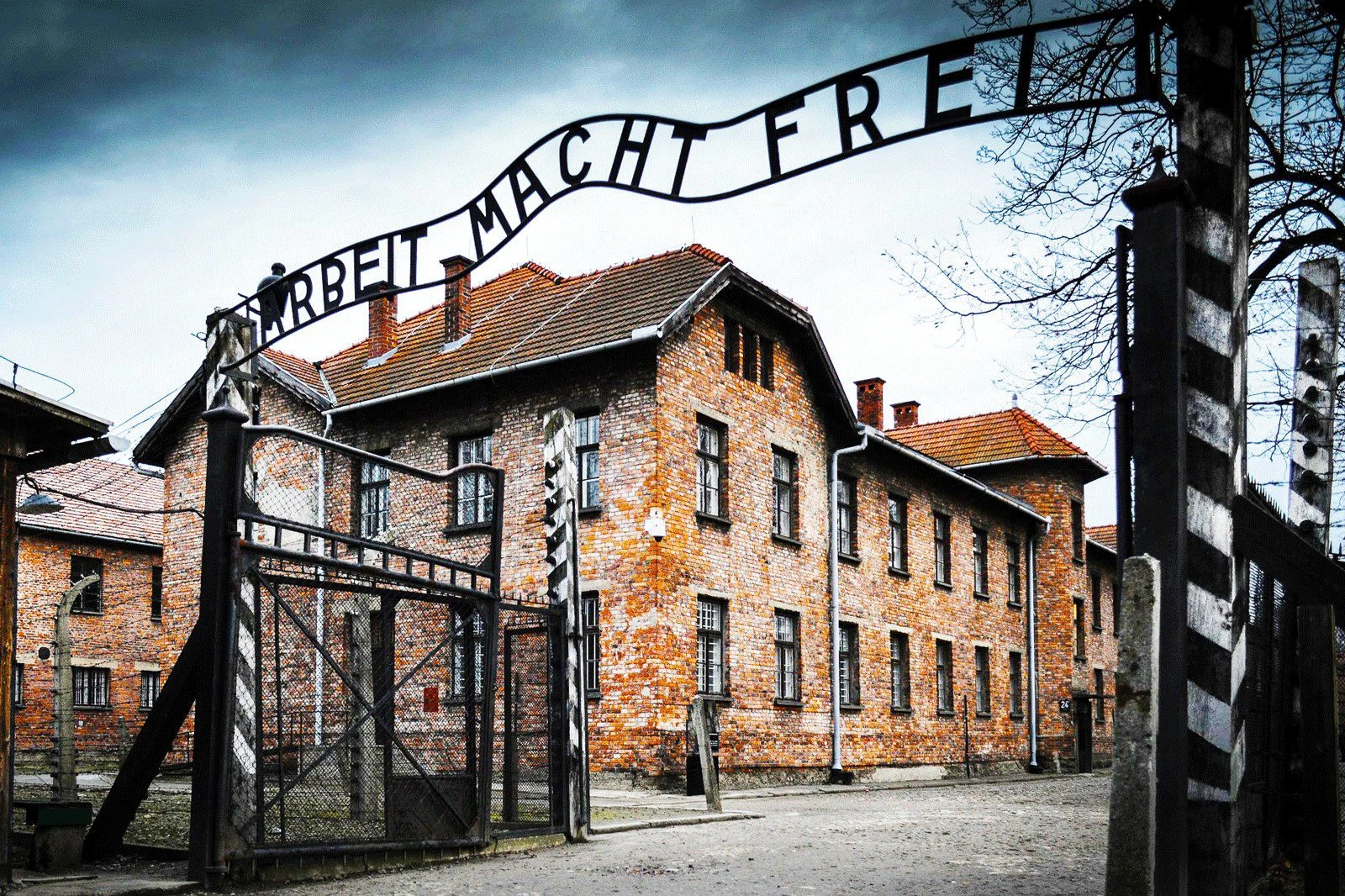 Da Castrovillari ad Auschwitz: il viaggio della memoria degli studenti dell’IIS “Fermi Pitagora Calvosa”
