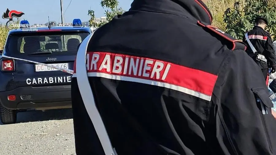 images Scoperta a San Ferdinando nel Reggino una discarica abusiva di rifiuti pericolosi: deferiti in 7 