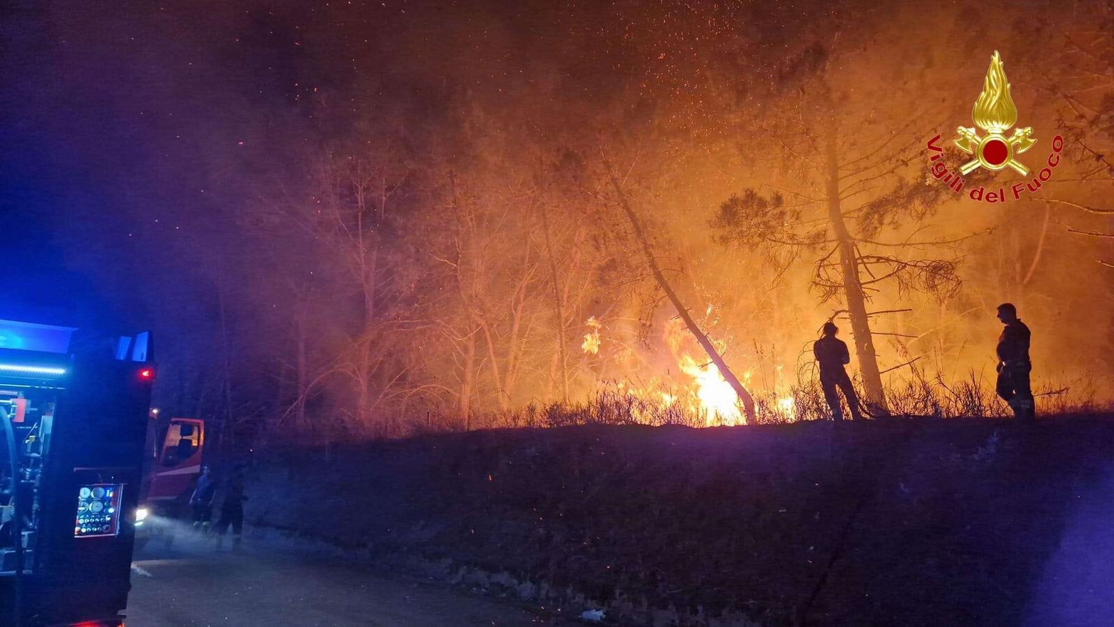 Emergenza incendi nel Vibonese: oltre 30 gli interventi images Emergenza incendi nel Vibonese: oltre 30 gli interventi