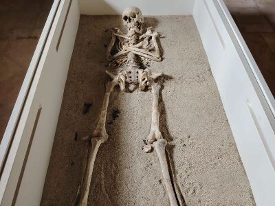 Calabria terra di meraviglie nascoste: il mistero della Grangia di Montauro e lo scheletro che sfida la storia images Calabria terra di meraviglie nascoste: il mistero della Grangia di Montauro e lo scheletro che sfida la storia