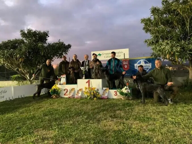Trofeo Orsini 2025: un successo per la cinofilia a Catanzaro images Trofeo Orsini 2025: un successo per la cinofilia a Catanzaro