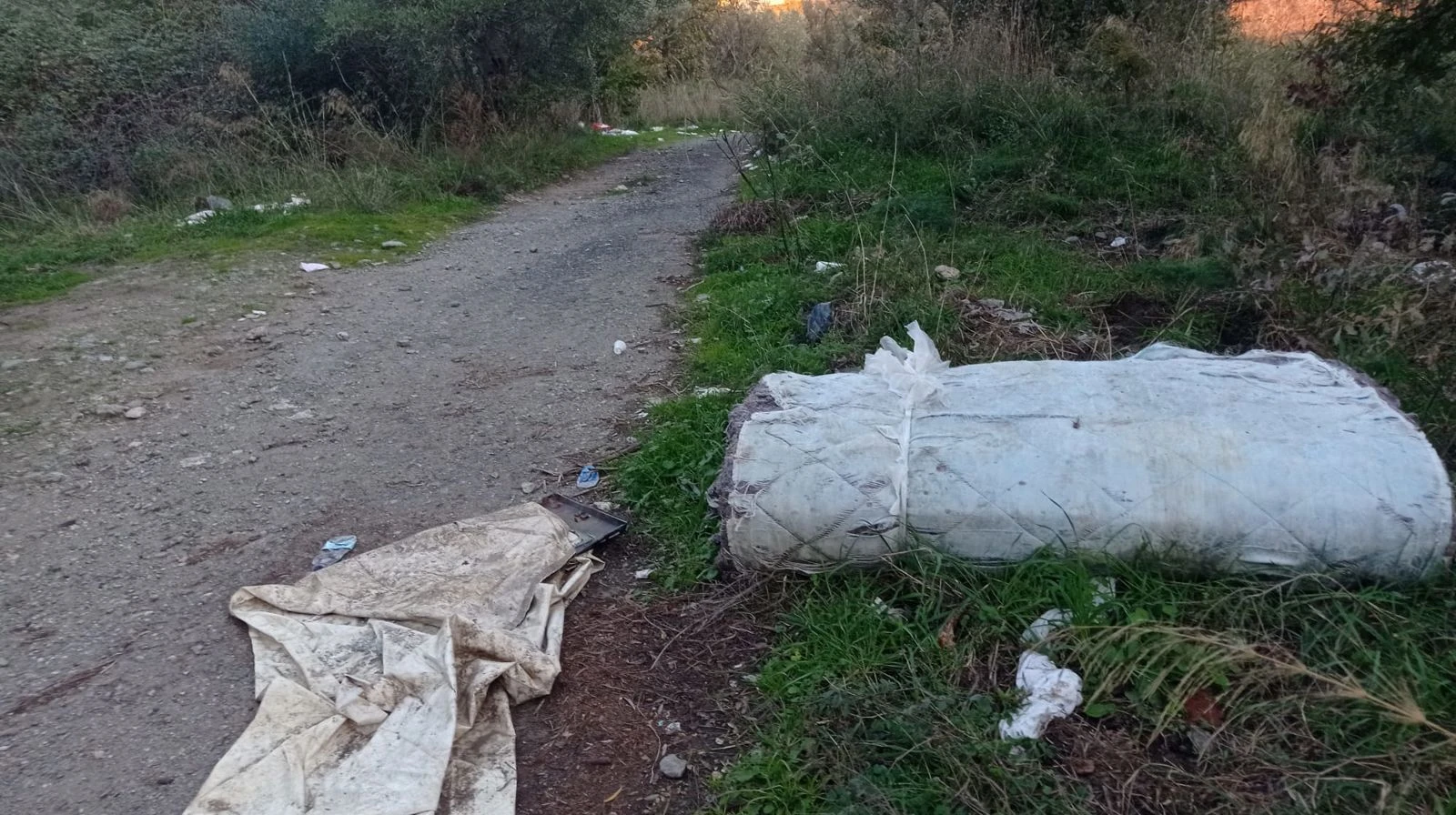 Catanzaro, un altro immondezzaio lungo la strada del Sert nello storico parco dell'ospedale Ciaccio 