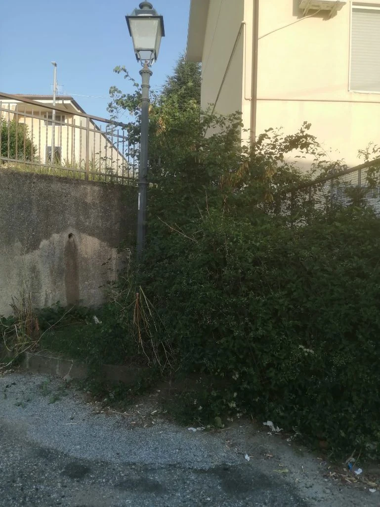 4b9793e4-fb65-4543-95ed-c19d88f96b5a_s.elia4.webp