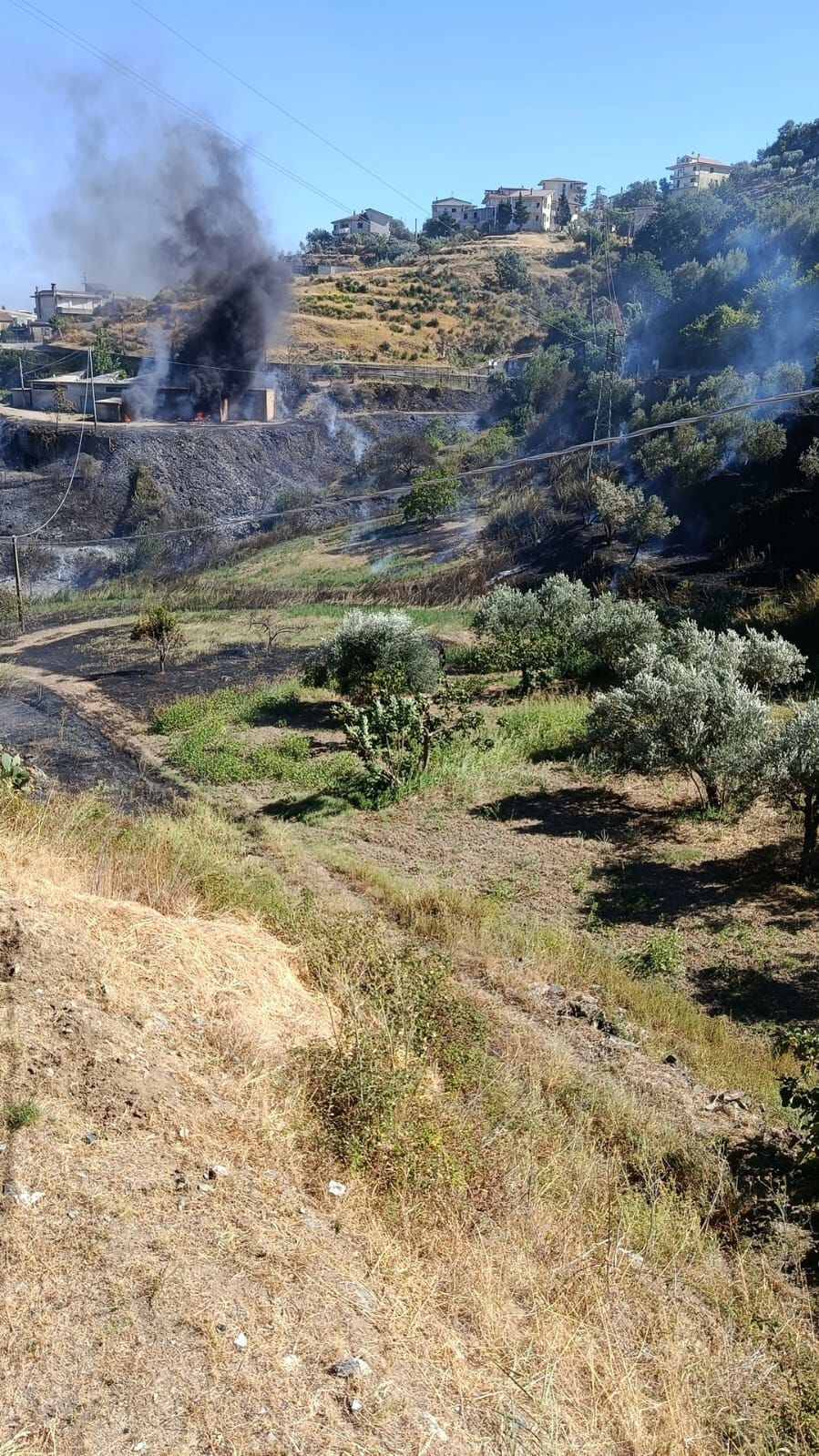 images Montauro, incendio a ridosso del centro abitato: interessati anche i locali dell’ex mattatoio comunale