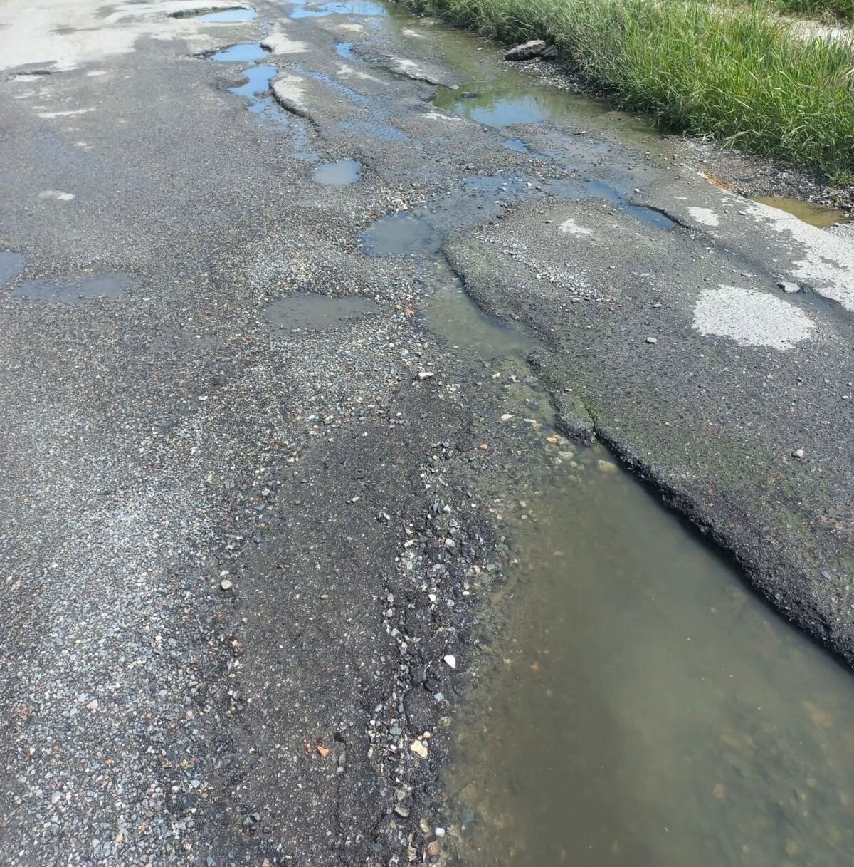 images Catanzaro, il dramma di Viale Isonzo: voragini e fogna a cielo aperto, pronti a bloccare la strada
