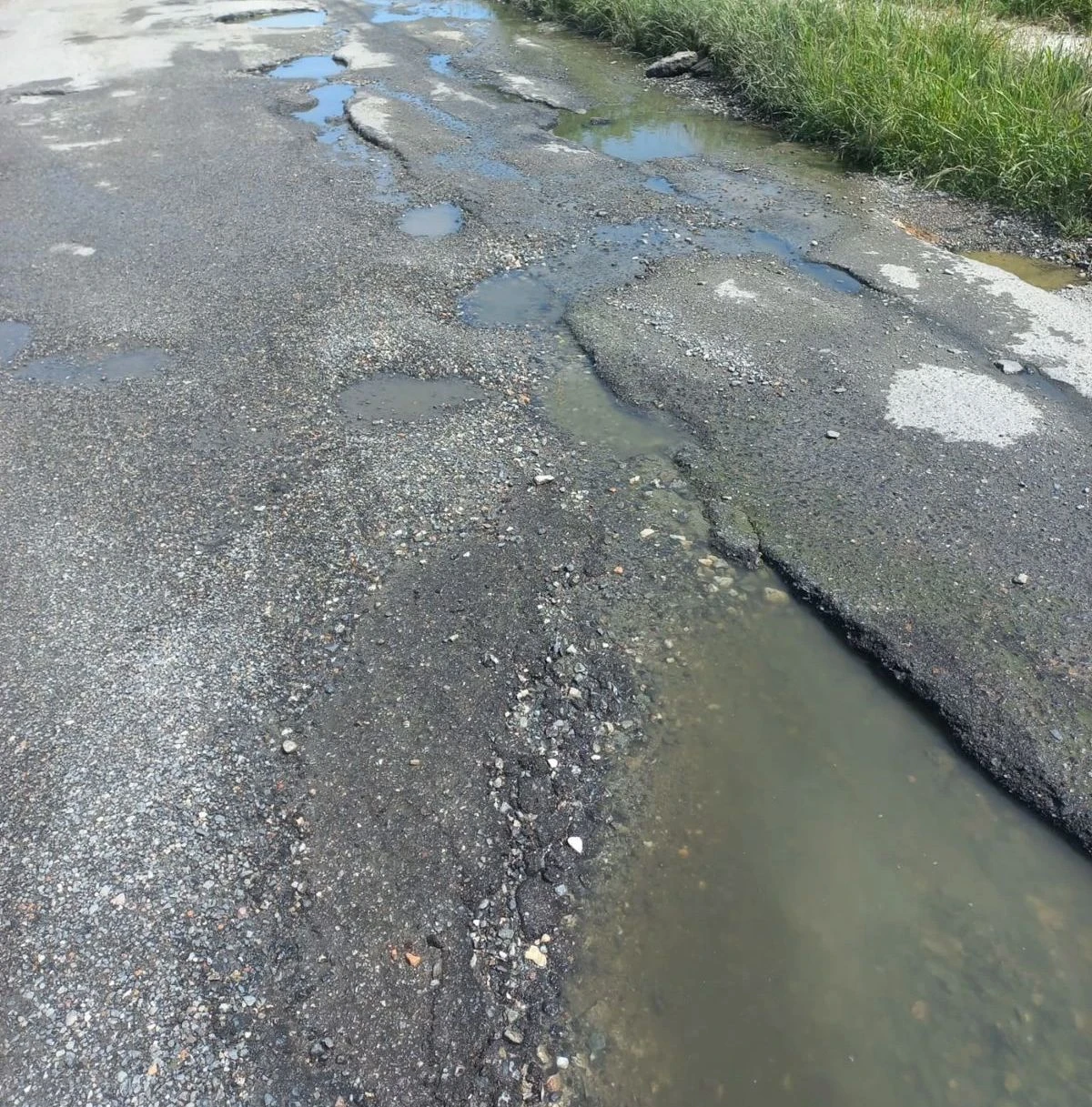 Catanzaro, il dramma di Viale Isonzo: voragini e fogna a cielo aperto, pronti a bloccare la strada