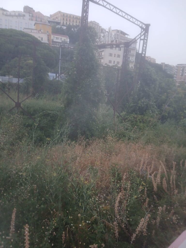 Catanzaro, Riccio: "L'ex gasometro in via Siciliani è una bomba verde a 200 metri da una scuola" images Catanzaro, Riccio: "L'ex gasometro in via Siciliani è una bomba verde a 200 metri da una scuola"