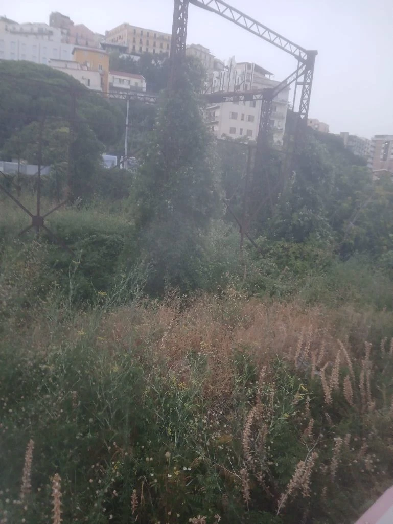 Catanzaro, Riccio: "L'ex gasometro in via Siciliani è una bomba verde a 200 metri da una scuola"