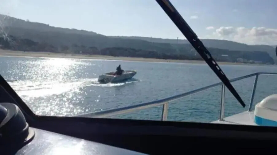 Tentano di sviare la Guardia Costiera con una falsa chiamata: pesca illecita scoperta a Palmi images Tentano di sviare la Guardia Costiera con una falsa chiamata: pesca illecita scoperta a Palmi