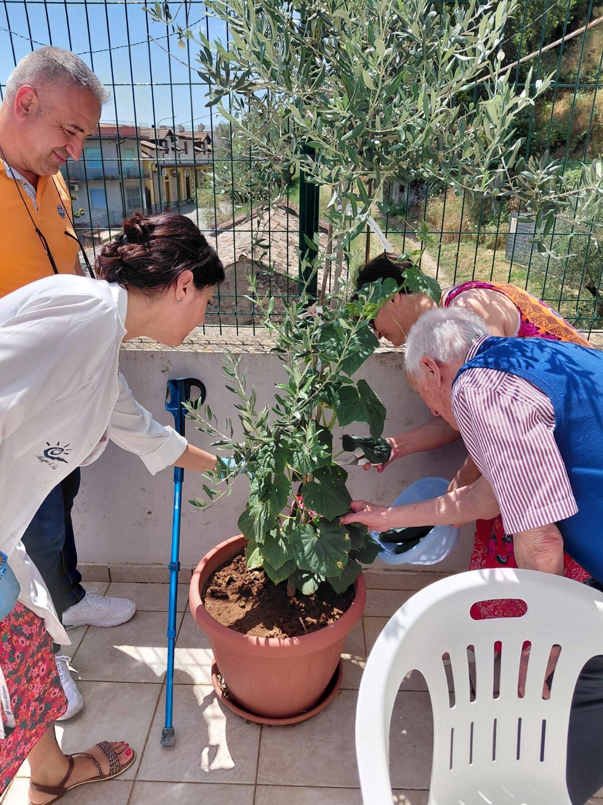 images Il "Giardino di ADA" raccoglie i primi frutti: a Gagliato l'ortoterapia diventa un modello di invecchiamento attivo