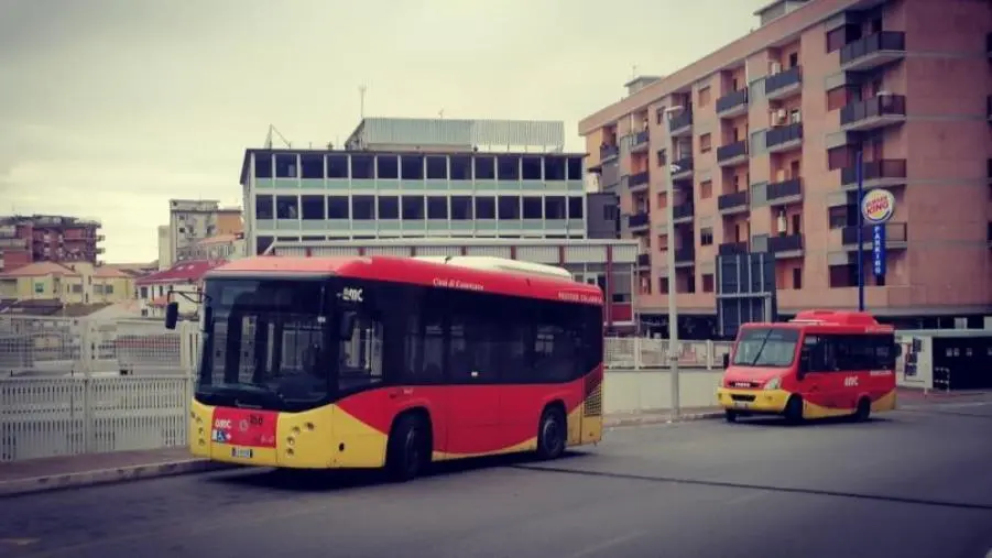 images Amc lancia l'app MOGO: "Trasformerà il trasporto pubblico a Catanzaro"

