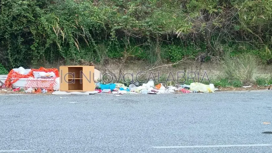Discarica a bordo strada nel quartiere Gagliano di Catanzaro: tra i rifiuti c'è pure una barca images Discarica a bordo strada nel quartiere Gagliano di Catanzaro: tra i rifiuti c'è pure una barca