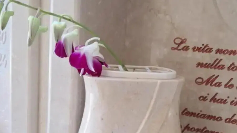 images Catanzaro, furti sulla tomba del papà nel cimitero: "Da mesi, ogni settimana, rubano i fiori"
