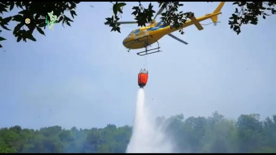 Incendio tra i comuni di Sangineto, Belvedere e Sant’Agata D’Esaro, presente squadra ed elicottero di Calabria Verde images Incendio tra i comuni di Sangineto, Belvedere e Sant’Agata D’Esaro, presente squadra ed elicottero di Calabria Verde