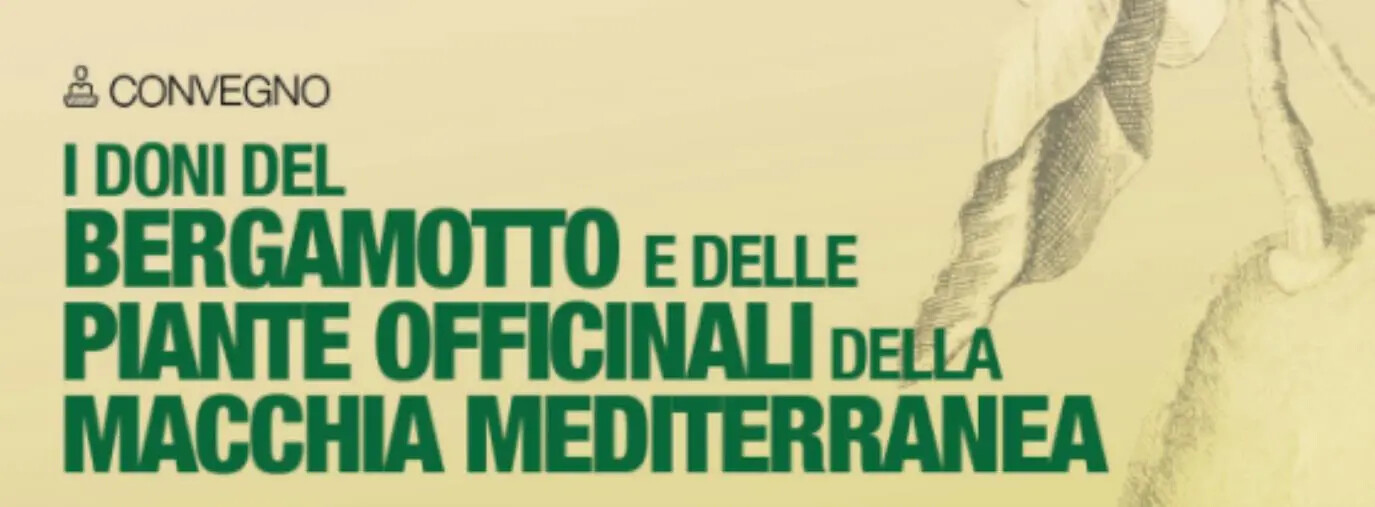 Qualità terapeutiche del bergamotto e la promozione, giovedì 12 dicembre a Reggio il seminario images Qualità terapeutiche del bergamotto e la promozione, giovedì 12 dicembre a Reggio il seminario