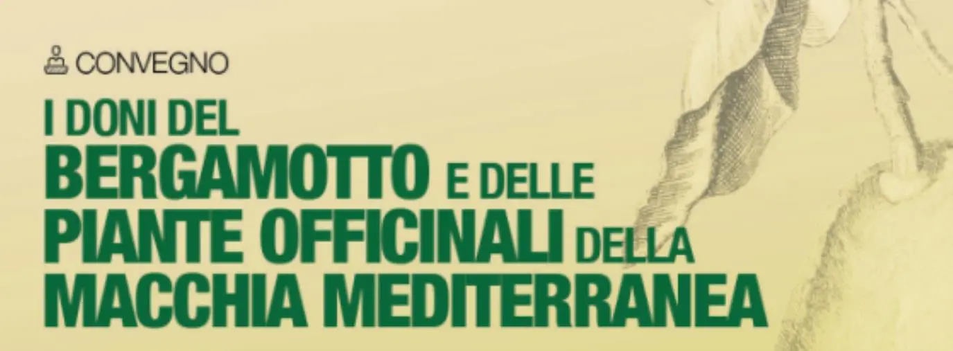 Qualità terapeutiche del bergamotto e la promozione, giovedì 12 dicembre a Reggio il seminario  images Qualità terapeutiche del bergamotto e la promozione, giovedì 12 dicembre a Reggio il seminario