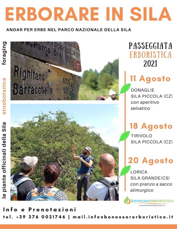 “Erborare in Sila”, andar per erbe nel Parco nazionale della Sila: quattro giorni di full immersion nella natura images “Erborare in Sila”, andar per erbe nel Parco nazionale della Sila: quattro giorni di full immersion nella natura
