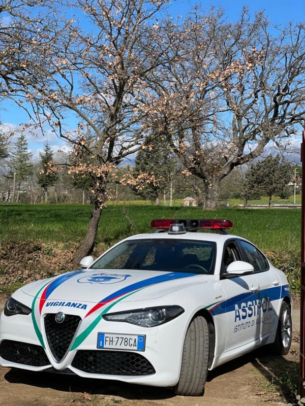 images Assipol. Trovato e restituito al proprietario un mezzo rubato a Spezzano Albanese