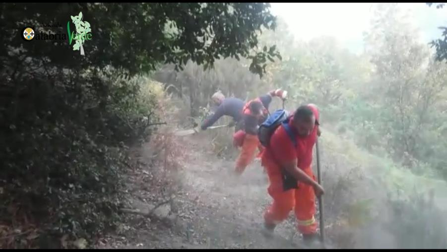Emergenza incendi, il commissario di Calabria Verde mobilita tutti gli operai idraulico-forestali per presidiare il territorio images Emergenza incendi, il commissario di Calabria Verde mobilita tutti gli operai idraulico-forestali per presidiare il territorio