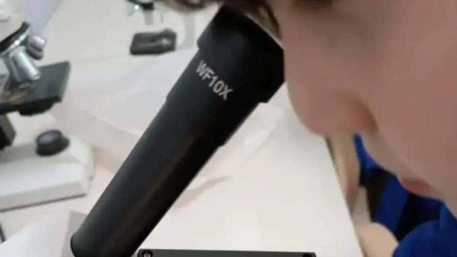 images Catanzaro, all’Ic Materdomini piccoli esploratori del regno vegetale crescono 