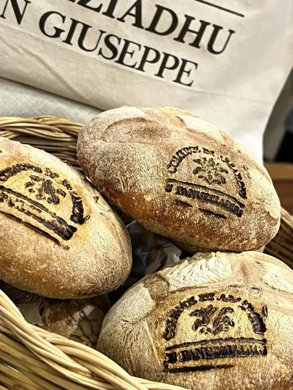 Amaroni, domani gioiosa ‘levataccia” per l’antico rito dei “panuzzedha” di San Giuseppe images Amaroni, domani gioiosa ‘levataccia” per l’antico rito dei “panuzzedha” di San Giuseppe