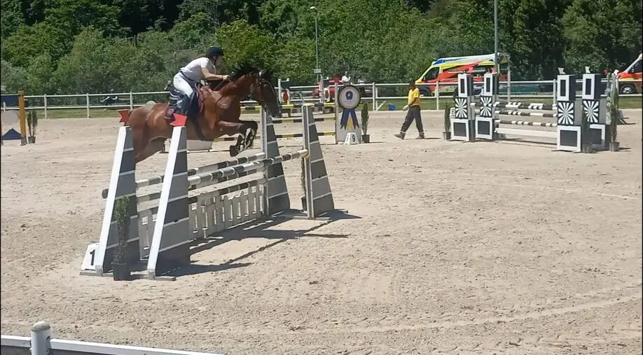 Catanzaro, entra nel vivo il Campionato Regionale Salto Ostacoli 2025 alla Valle dei Mulini images Catanzaro, entra nel vivo il Campionato Regionale Salto Ostacoli 2025 alla Valle dei Mulini