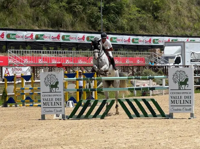 images Sport e spettacolo equestre al Valle dei Mulini: Catanzaro brilla nel Circuito MASAF Sud

