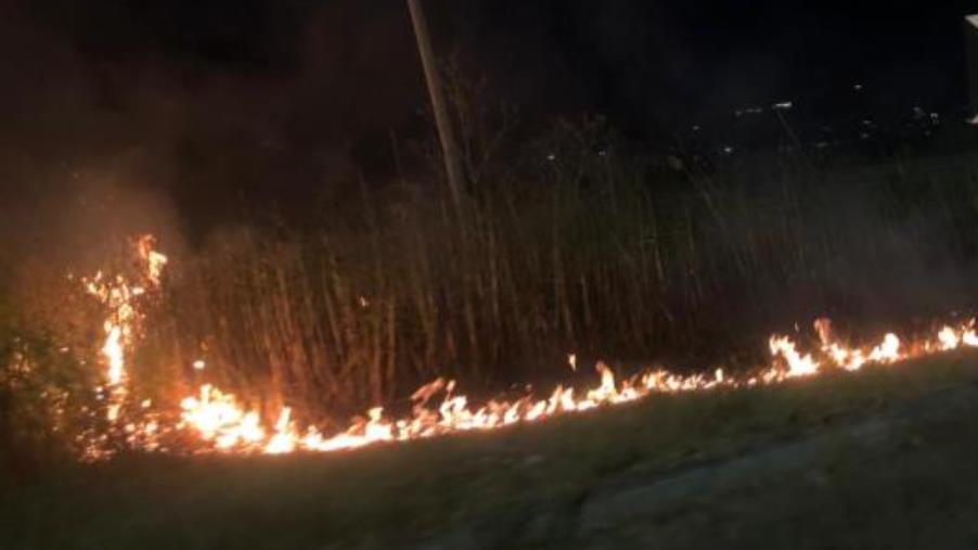 images Incendi, in aumento al Sud: nel 2023 l’80% delle aree in fiamme è stato in Calabria e in Sicilia 