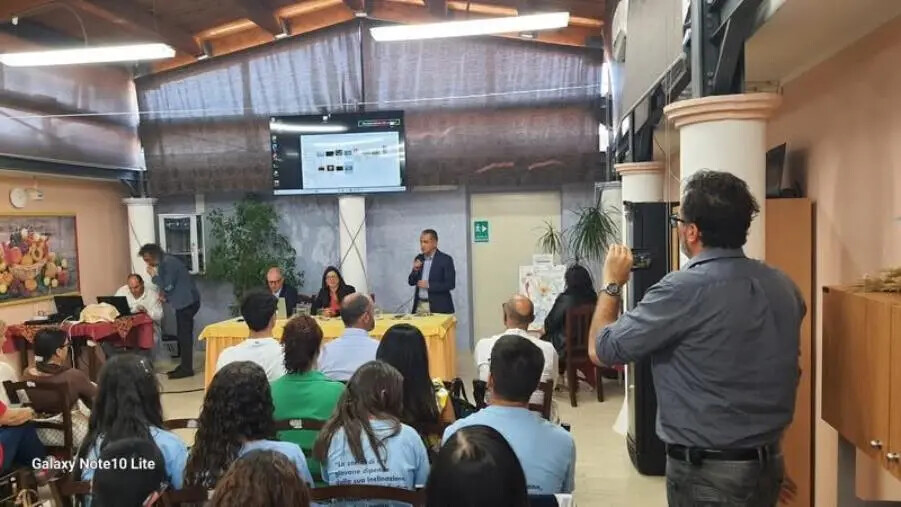 images Il grano e l’identità di un popolo: grande successo per l’evento dell’IIS “Rita Levi Montalcini” di Sersale&nbsp;