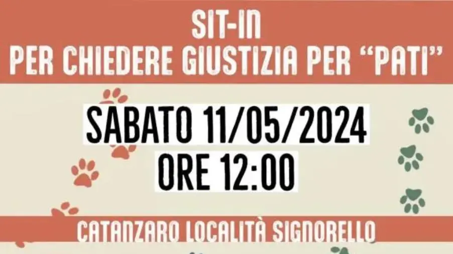 Cane massacrato a Signorello, sabato sit-in per chiedere giustizia images Cane massacrato a Signorello, sabato sit-in per chiedere giustizia