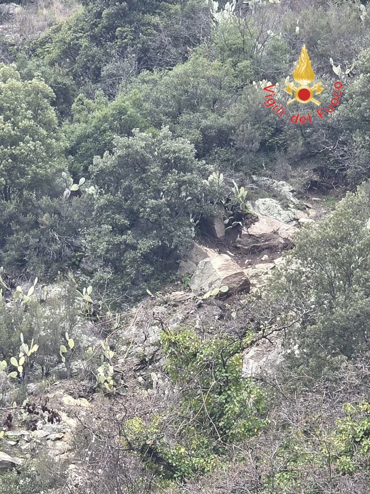 Frana sulla SP Taverna – San Giovanni d’Albi: strada chiusa per rischio distacco roccioso