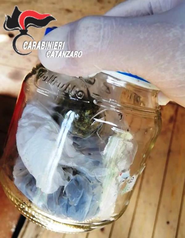 images Soveria Mannelli, beccati in auto con 20 grammi di marijuana: 2 arresti  