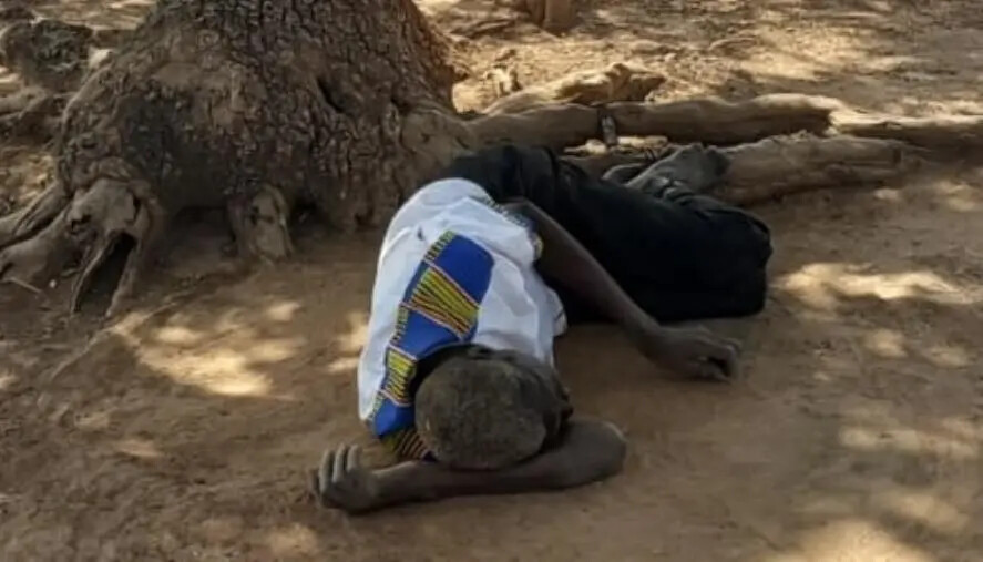 images Missione in Africa, la vita disumana dei malati psichiatrici: legati agli alberi con catene