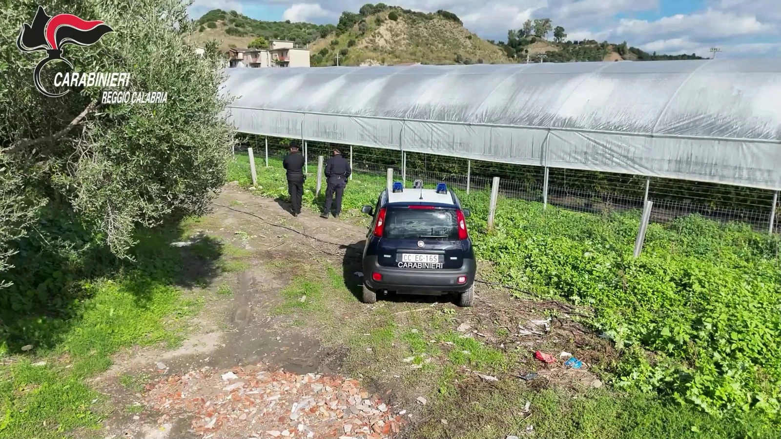 San Luca, scoperti 35mila metri quadrati di Serre abusive: quattro denunce 