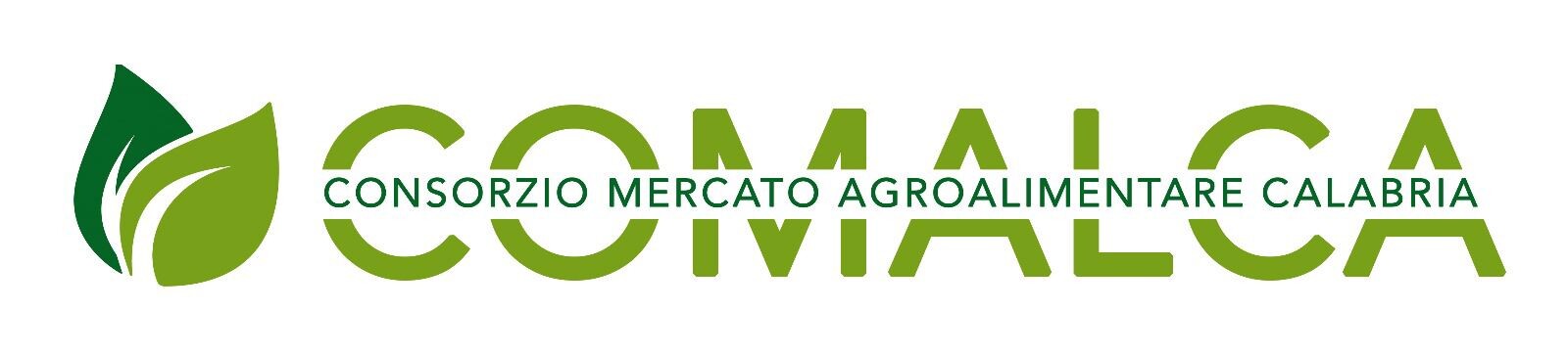 images Catanzaro, al Comalca avviata una nuova fase per la digitalizzazione dei processi 