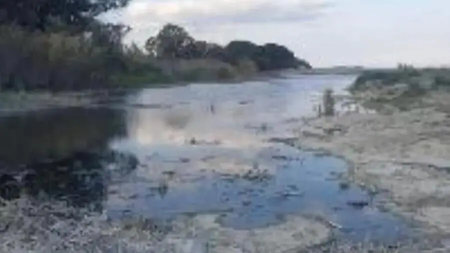 images Maldepurazione a Catanzaro, Riccio (Lega): "Si combatte con azioni concrete sul territorio"