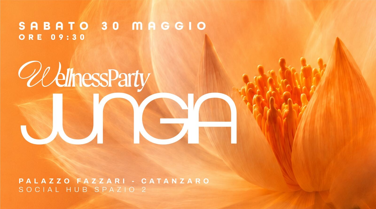 images A Catanzaro arriva" Jungia": il primo &nbsp;Wellness Party dove si balla, si respira e si brinda senza eccessi