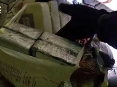 Sequestrati al porto di Gioia Tauro 435 kg di cocaina: era nascosta in sacchi di noccioline