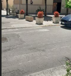 images Catanzaro, l'appello dell'associazione Ponte Morandi: "Strisce pedonali cercasi"