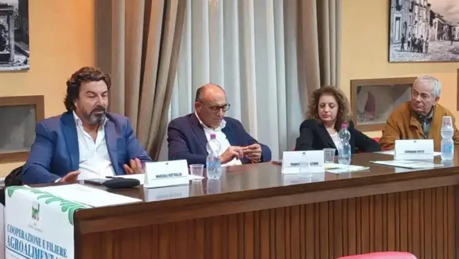 Gal “Serre Calabresi”, a Cortale un convegno sulla cooperazione a supporto delle produzioni locali
  images Gal “Serre Calabresi”, a Cortale un convegno sulla cooperazione a supporto delle produzioni locali