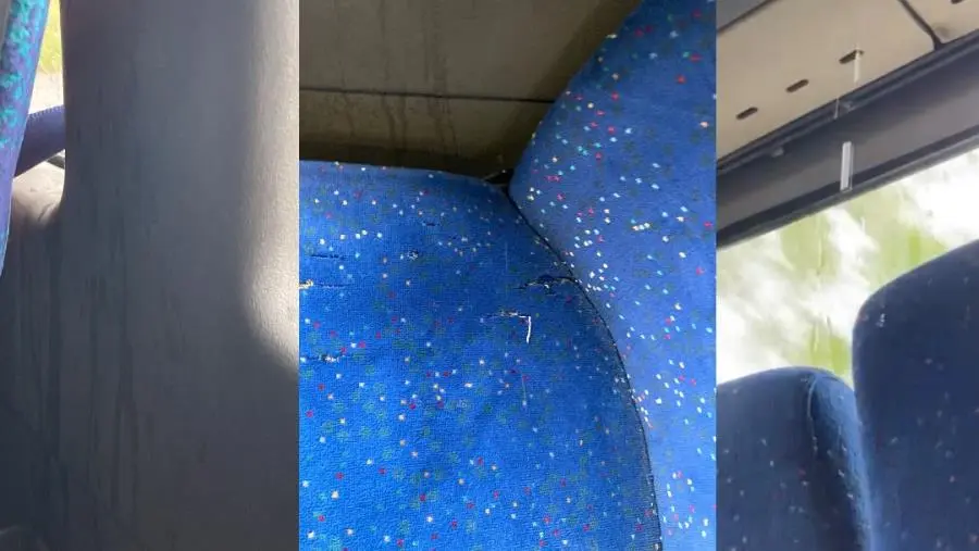 Abbonamenti salati ma negli autobus piove: pendolari catanzaresi esasperati images Abbonamenti salati ma negli autobus piove: pendolari catanzaresi esasperati