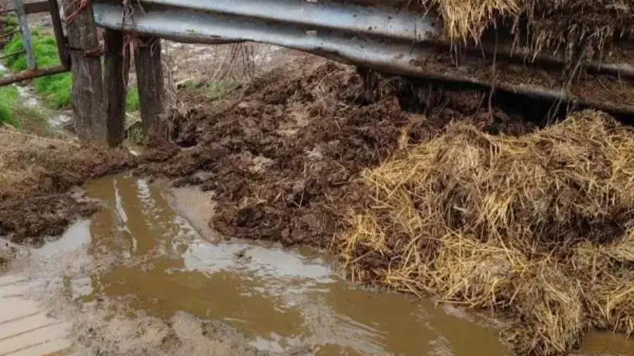 Operazione Black Water, controlli ambientali dei carabinieri nel Vibonese  images Operazione Black Water, controlli ambientali dei carabinieri nel Vibonese